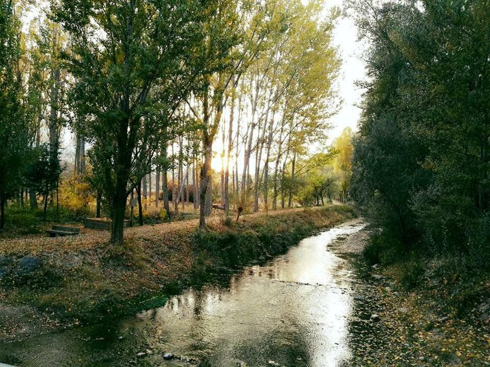 Casa Rural Celtia Aguilar del Río Alhama 외부 사진